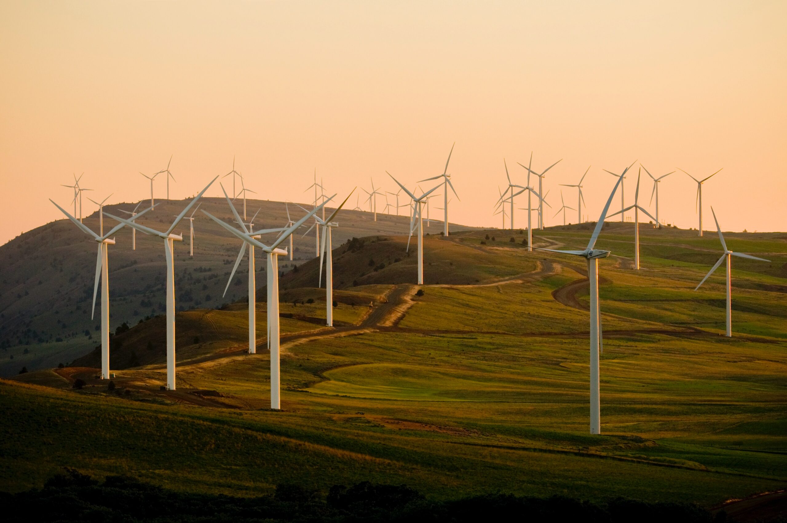 Image is of wind turbines in an open field.
