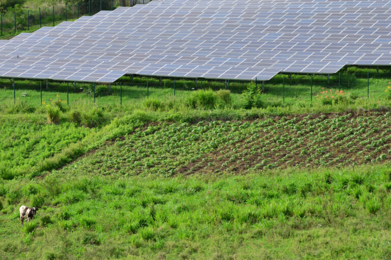 Global Energy Alliance for People and Planet announces Oscar A. Garcia as Chief Impact Officer