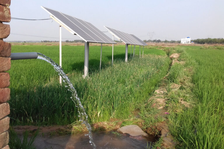 Nithio Invests in SunCulture to Drive Solar Irrigation and Farming Innovations Across Africa