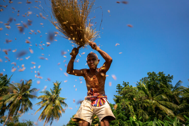 Climate Action in the Global South: Achievements and Gaps