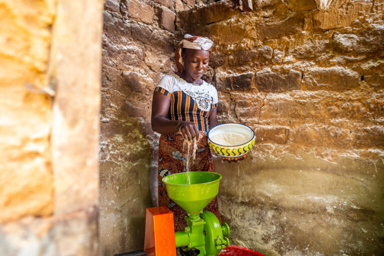 Energizing Women and Youth in Agri-Food Systems Program