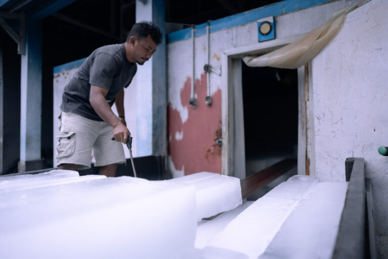 Keeping Indonesia’s artisanal fishing sustainable and profitable, with clean energy and smart partnerships