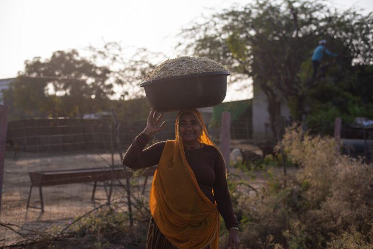 Case study: The power of energy for better farming