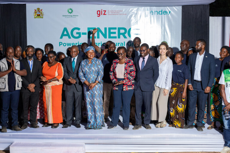 Solar now powers irrigation, rice milling and milk cooling for about 5,000 farmers in Malawi
